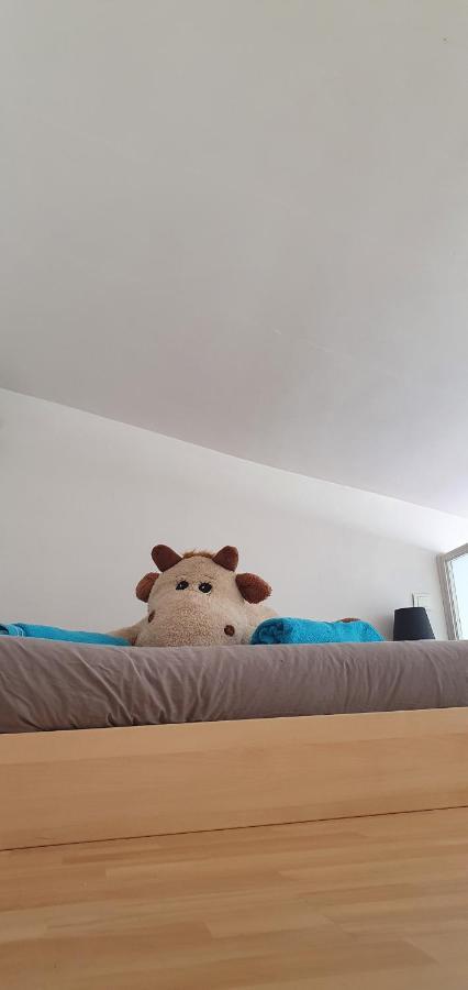 Joshroom Caux Kültér fotó